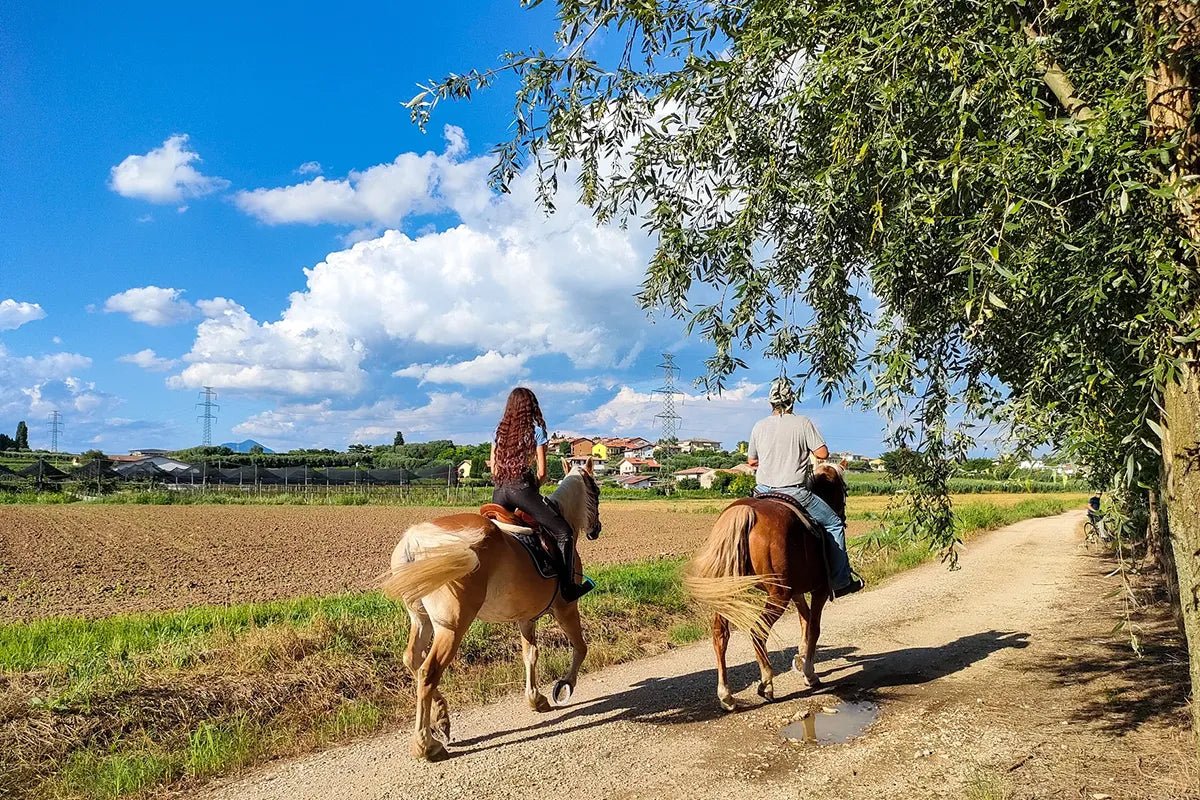Horse Tour