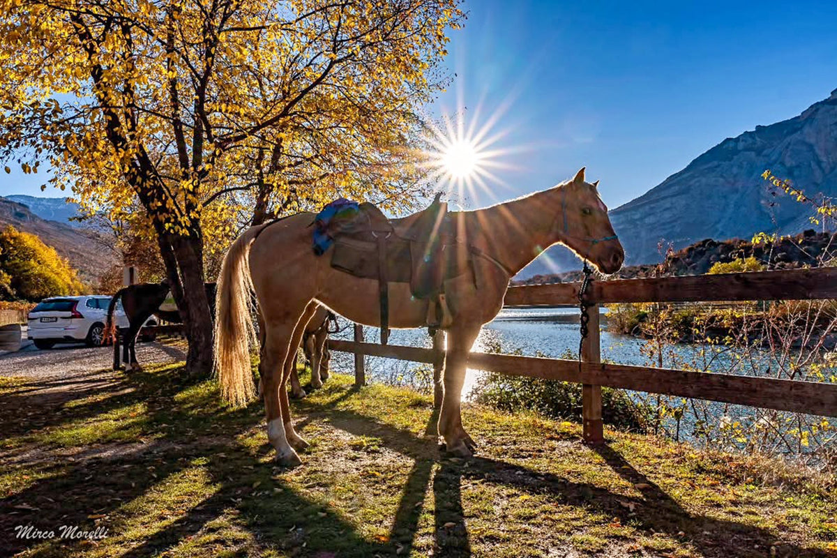 Farm & Rural Experiences