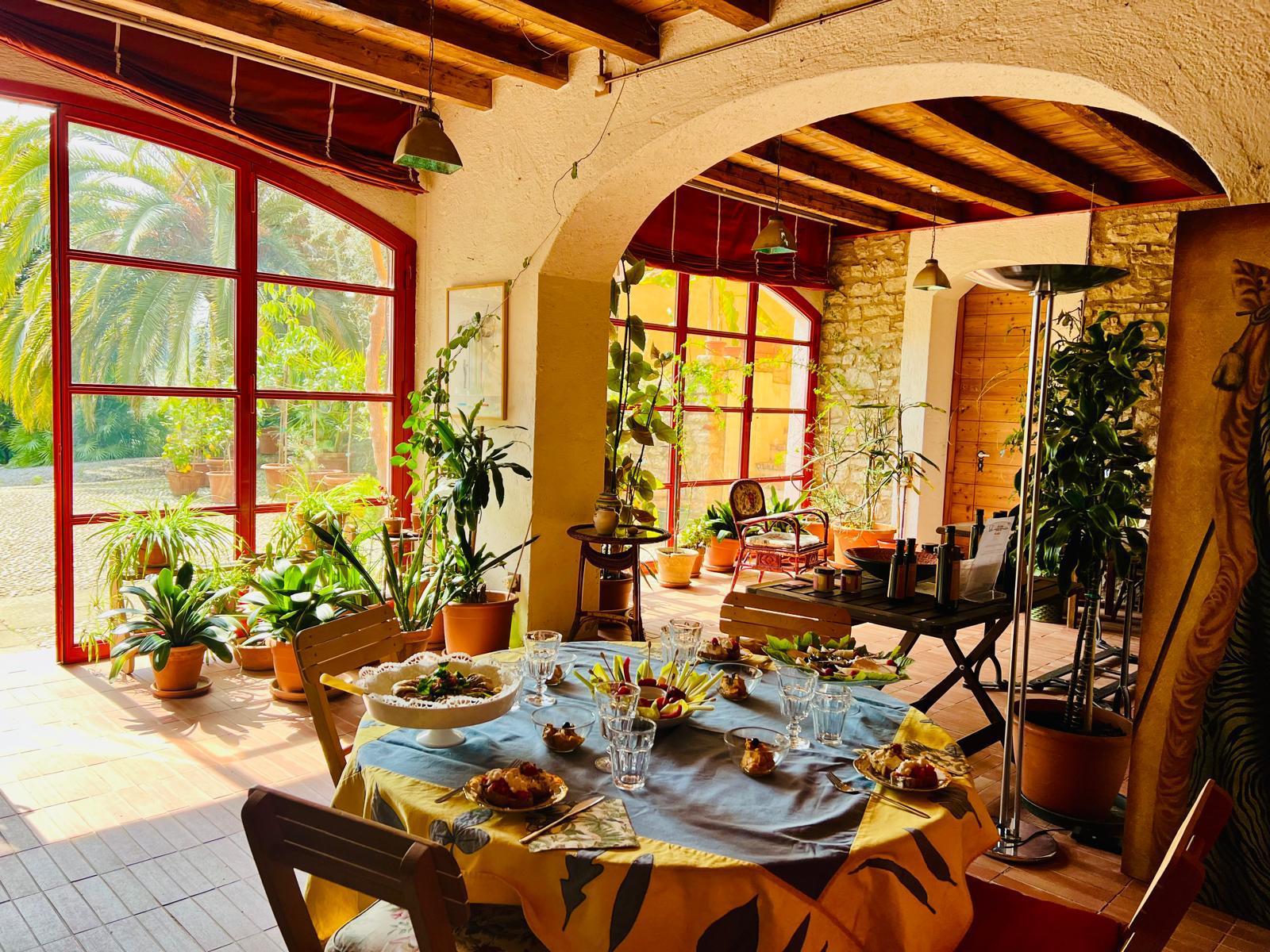 Olive Oil Tasting with local food on Lake Garda Hills - Touraround