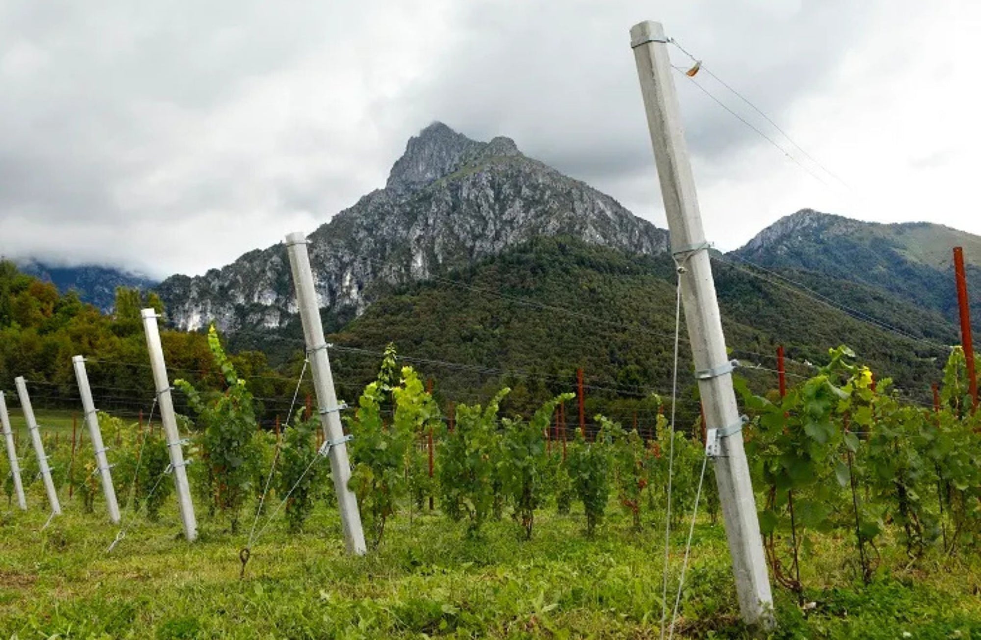 Experience Image