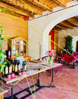Olive Oil Tasting with local food on Lake Garda Hills - Touraround