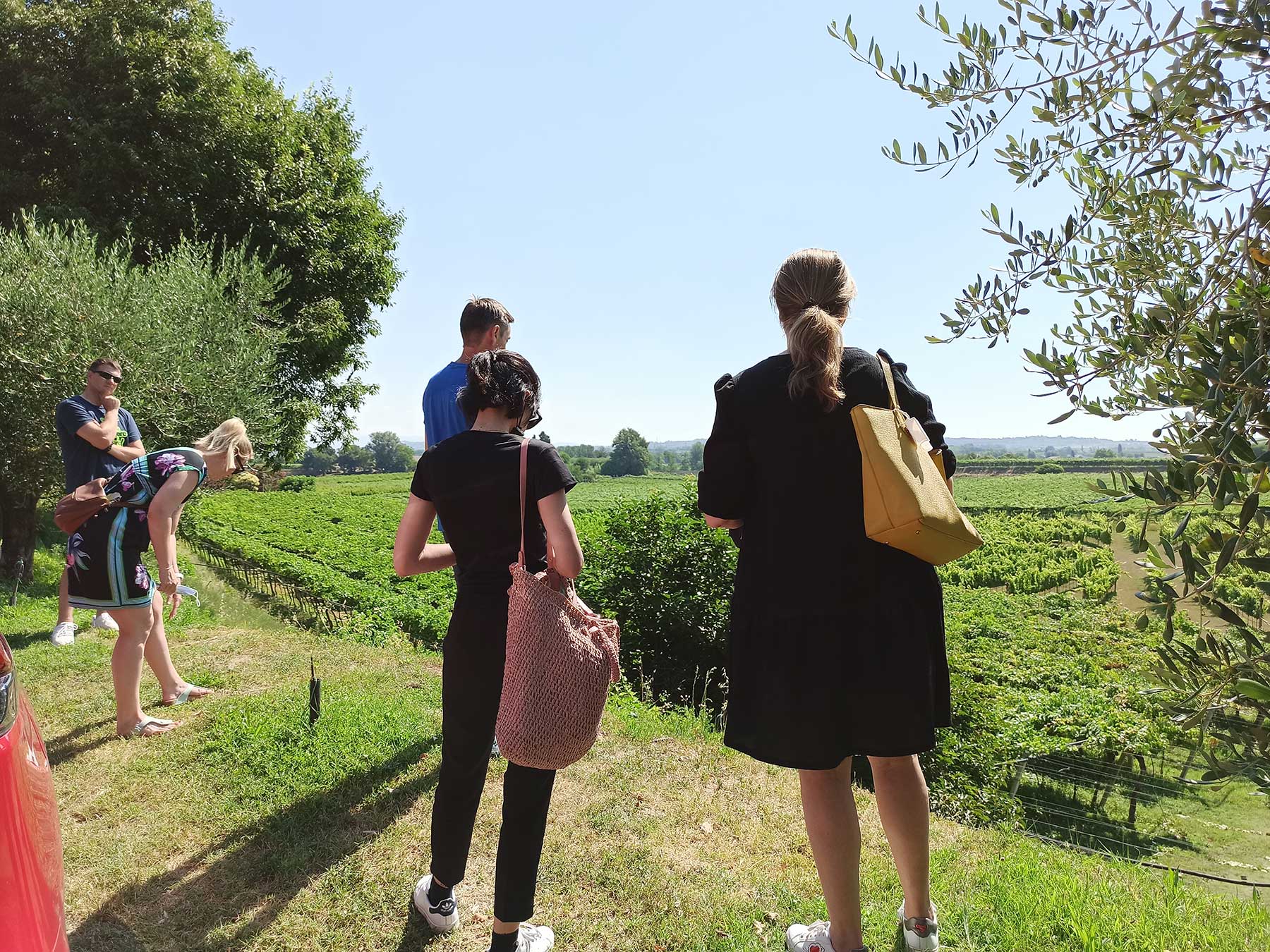 This experience will make you live the emotion of visiting a winery, discovering the methods of production and aging, according to a tradition that has lasted for about 100 years