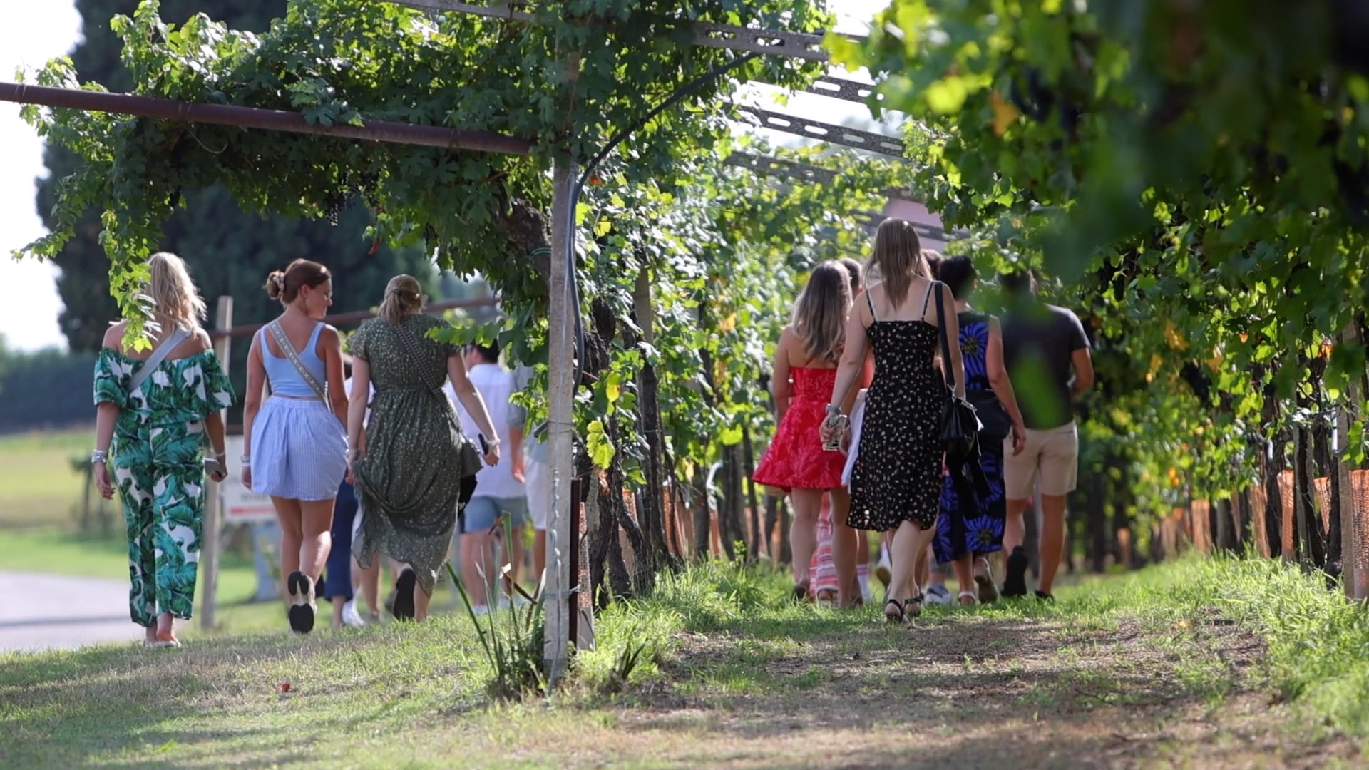 This experience will make you live the emotion of visiting a winery, discovering the methods of production and aging, according to a tradition that has lasted for about 100 years