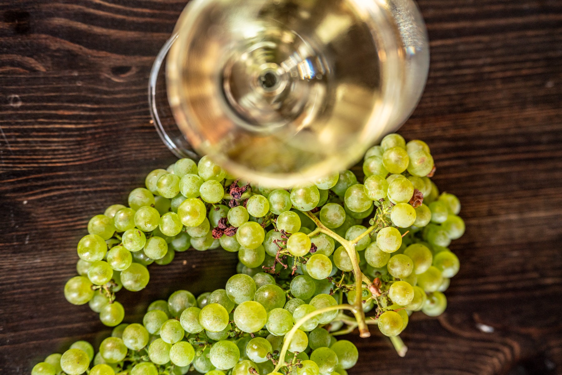 Taste 3 Wines with cellar tour in a Historic Countryside Winery - Touraround