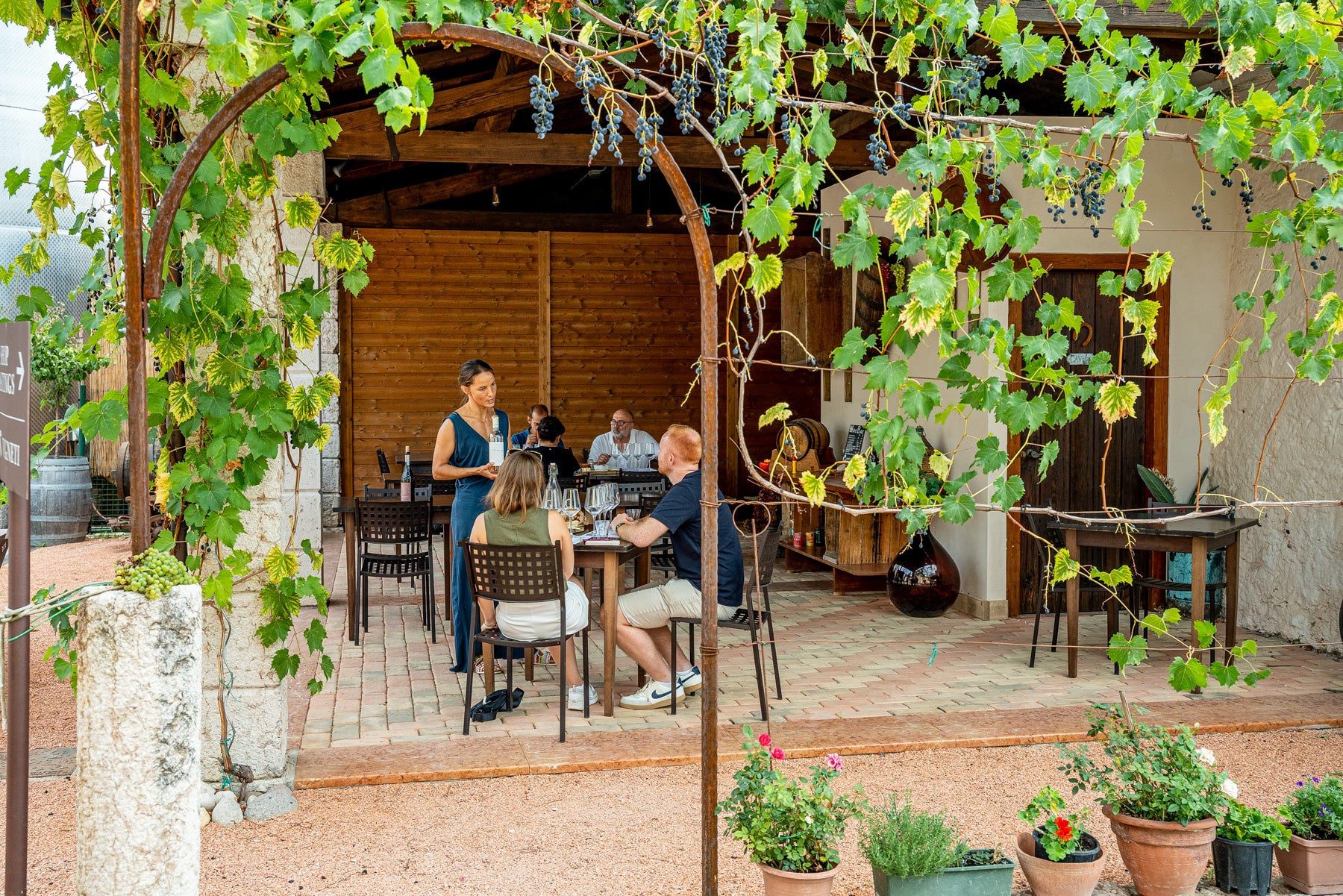 Taste 3 Wines with cellar tour in a Historic Countryside Winery - Touraround