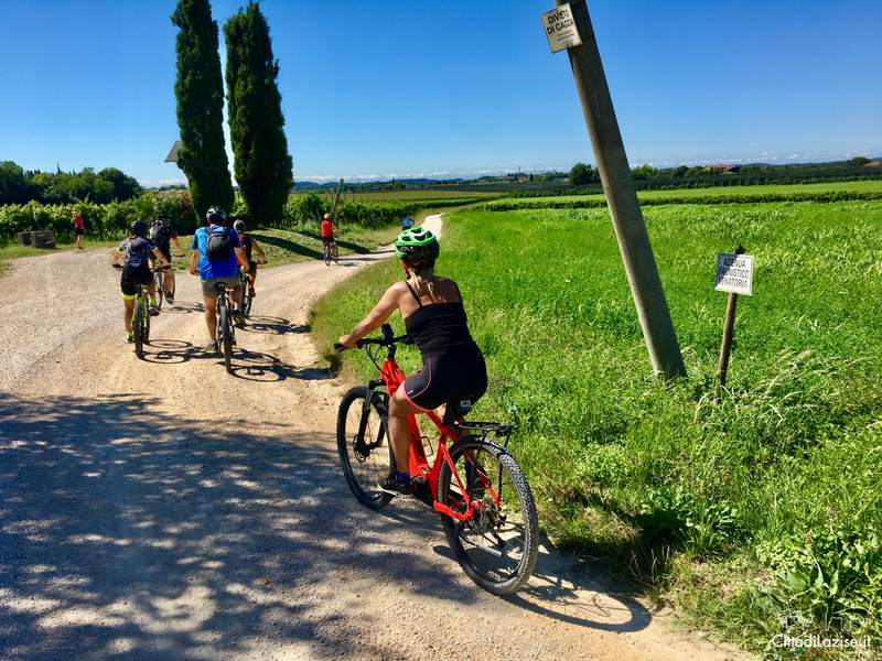 E-bike tour with wine tasting from Caprino Veronese - Touraround