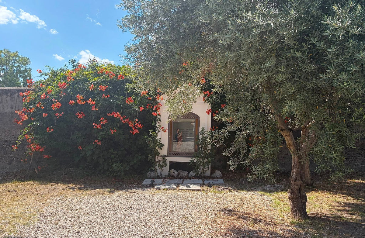 Experience Image