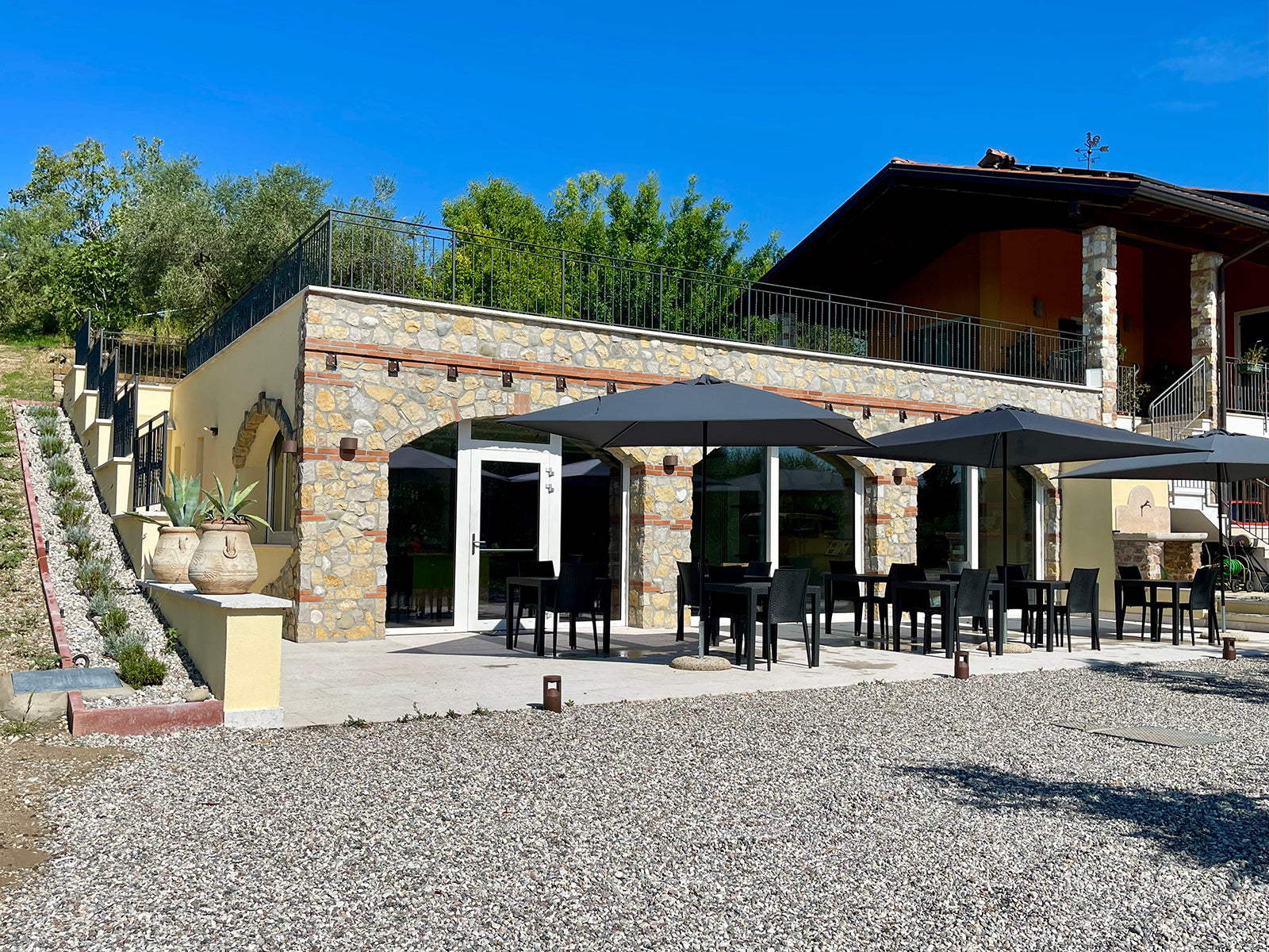 Lake Garda Olive Oil Tour & Tasting with Panoramic Views - Touraround
