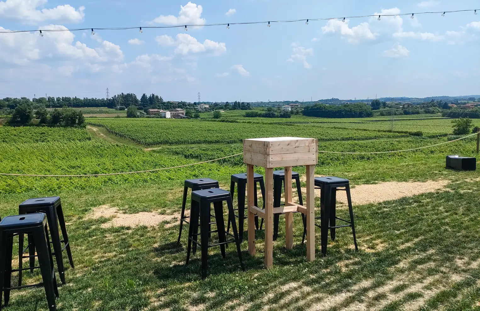 Countryside Wine Experience with Local Food and Vineyard Views - Touraround