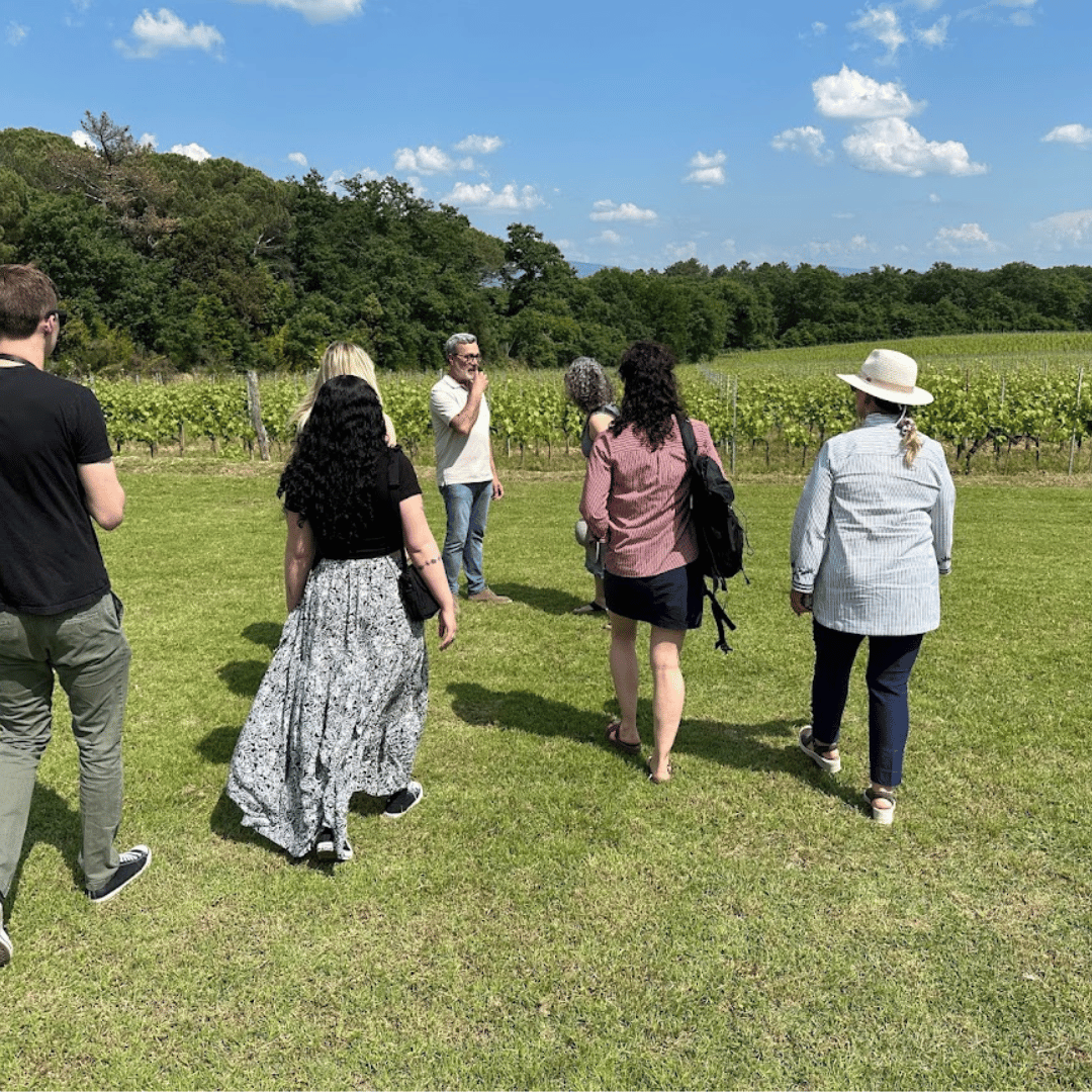 Arezzo: Boutique Winery Visit & Wine Tasting - Wine Tasting - Touraround