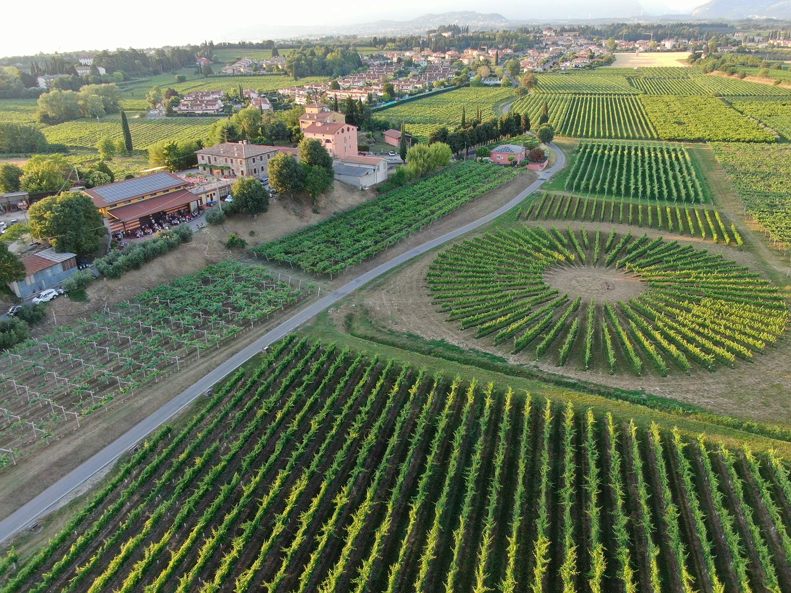 This experience will make you live the emotion of visiting a winery, discovering the methods of production and aging, according to a tradition that has lasted for about 100 years