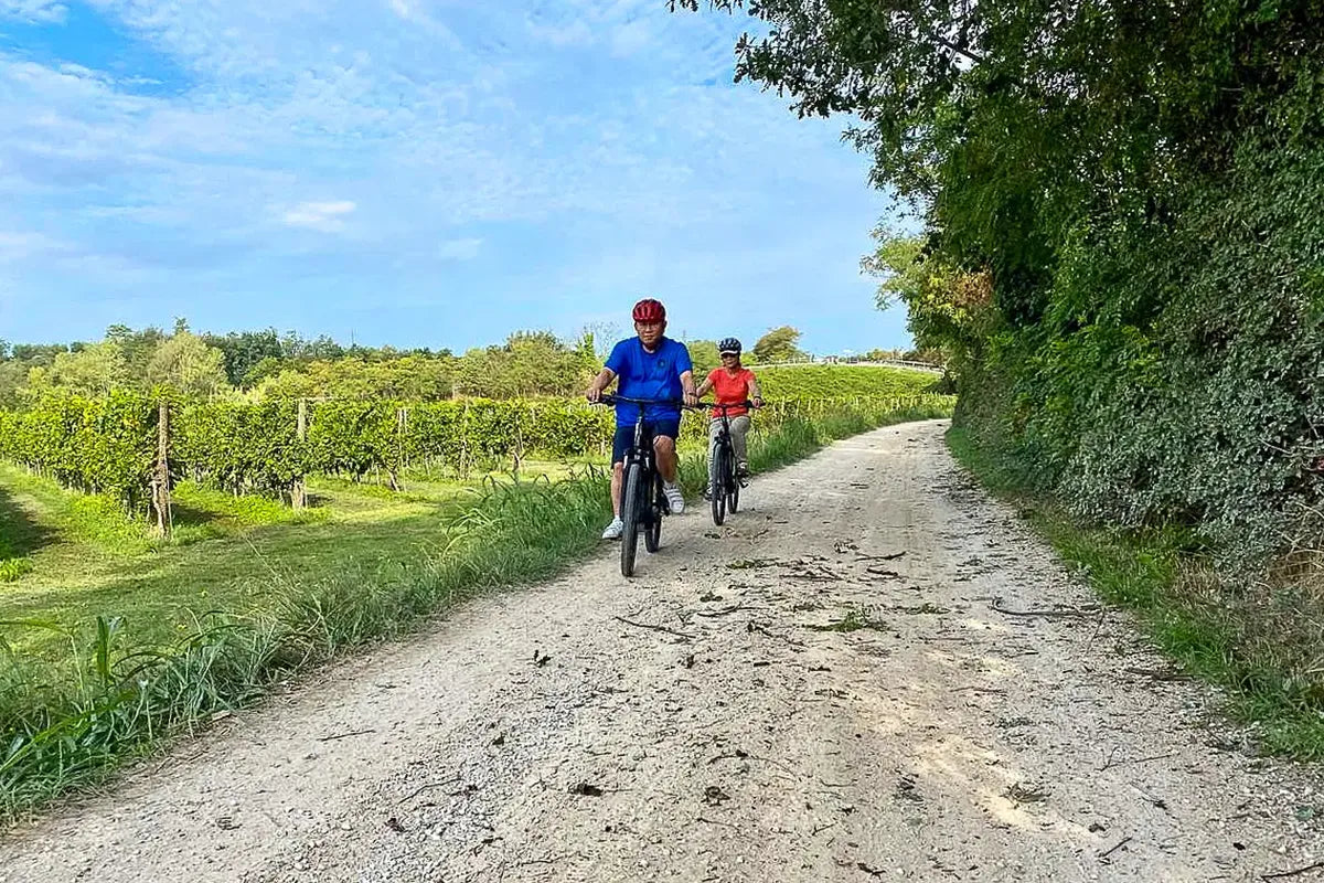 Bike tour from Lazise to Verona, the City of Love - Touraround