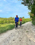 Bike tour from Lazise to Verona, the City of Love - Touraround