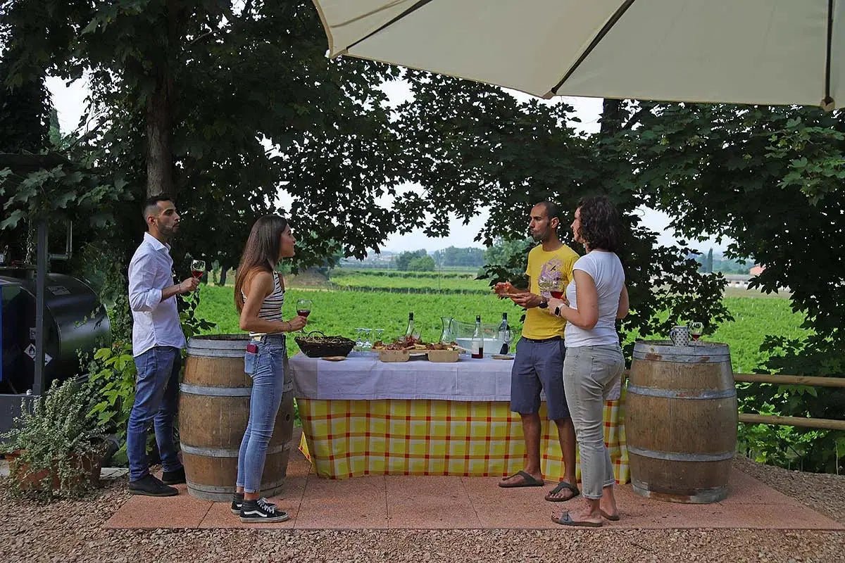 Biodynamic Farm and Natural Wines Tasting - Wine Tasting - Touraround