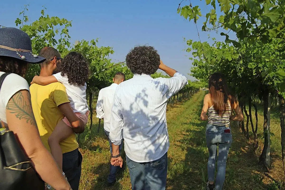 Biodynamic Farm and Natural Wines Tasting - Wine Tasting - Touraround