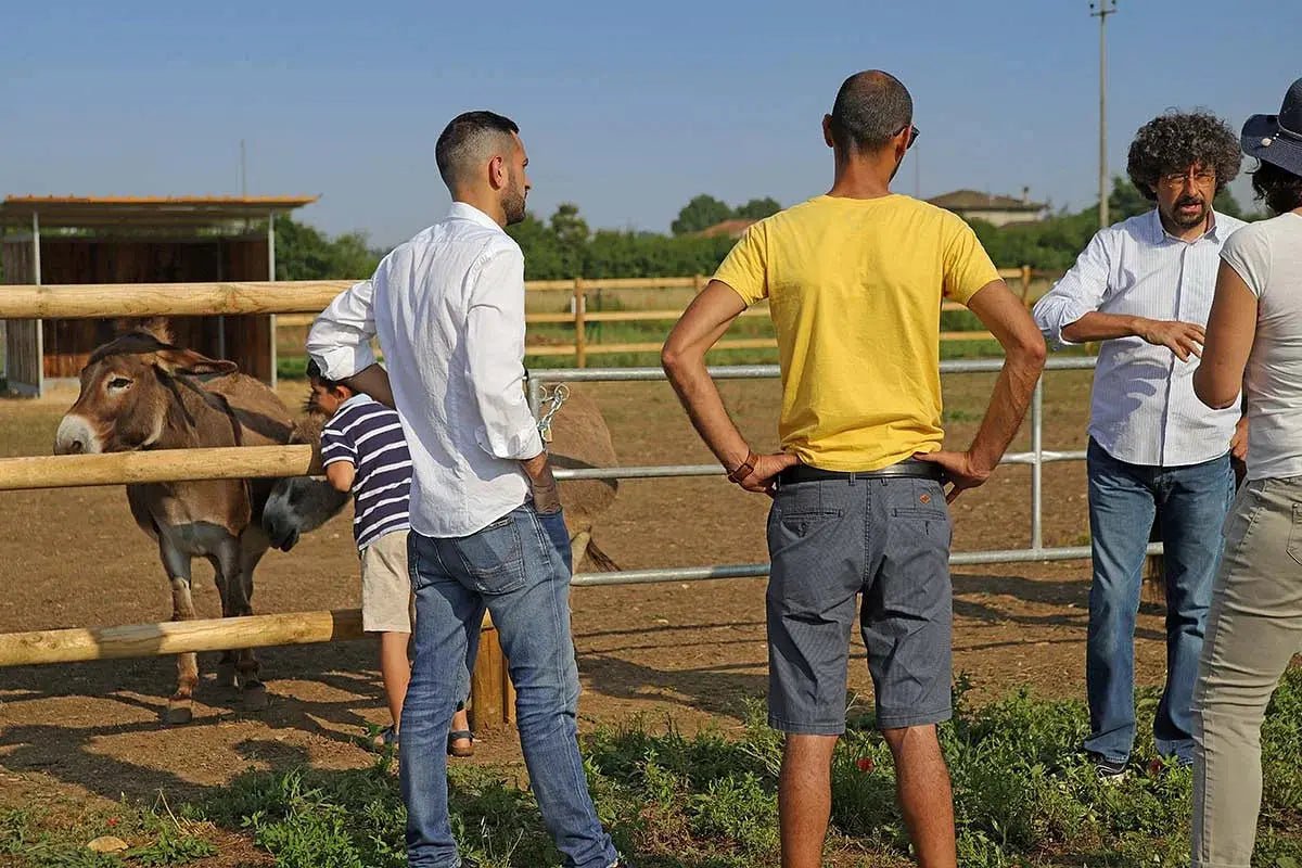 Biodynamic Farm and Natural Wines Tasting - Wine Tasting - Touraround