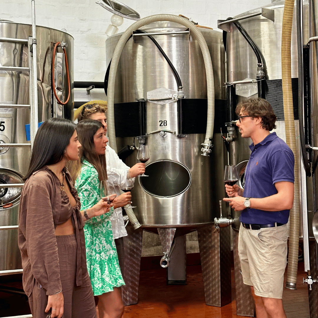 Bologna: Boutique Winery Tour with Wine Tasting & Food Platter - Wine Tasting - Touraround