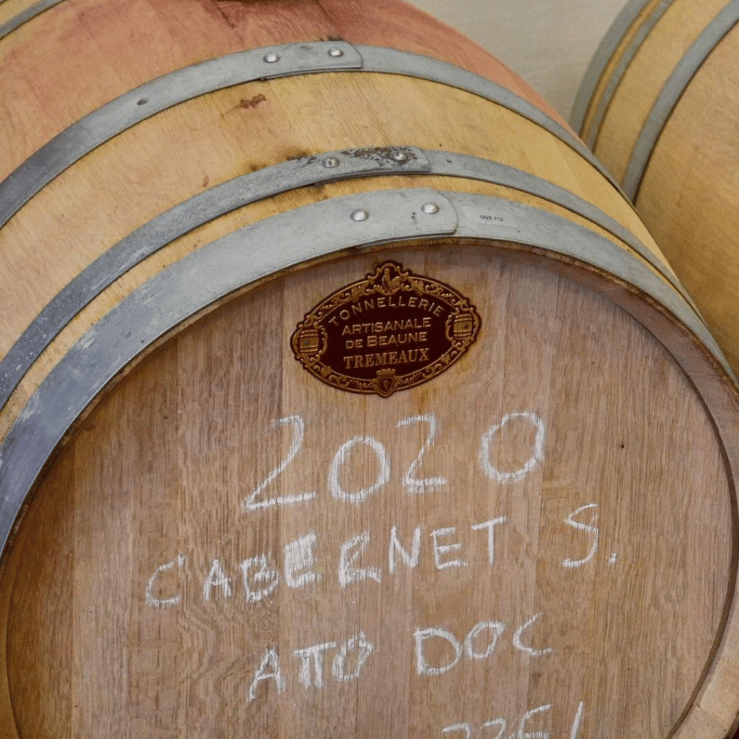 Bologna: Boutique Winery Tour with Wine Tasting &amp; Food Platter - Wine Tasting - Touraround