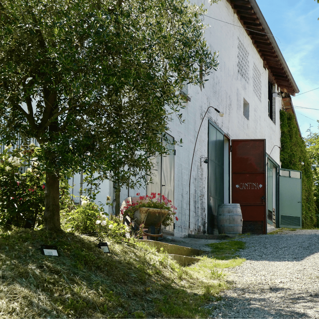 Bologna: Boutique Winery Tour with Wine Tasting &amp; Food Platter - Wine Tasting - Touraround