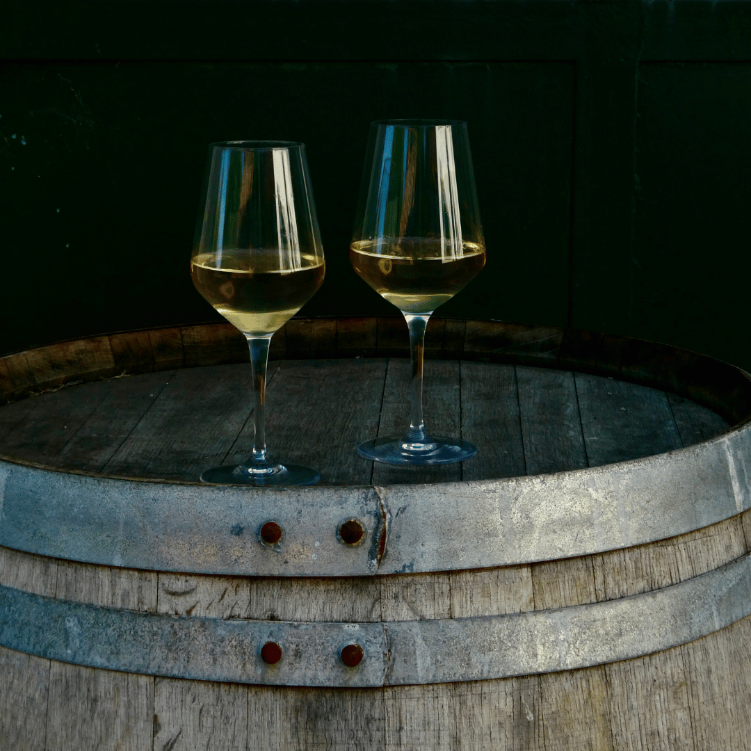 Bologna: Boutique Winery Tour with Wine Tasting &amp; Food Platter - Wine Tasting - Touraround