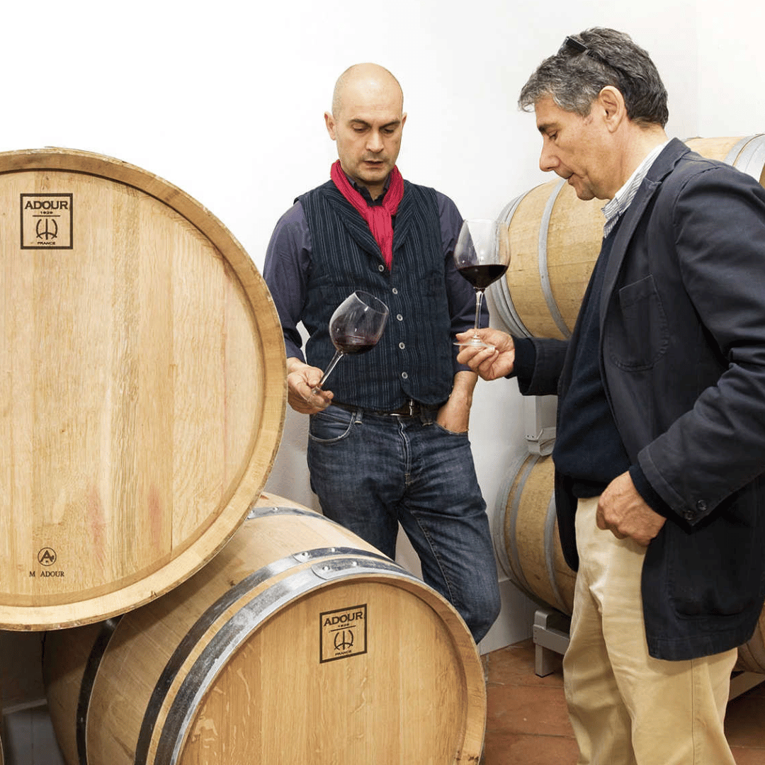 Boutique Winery Tour &amp; Tasting in North Tuscany - Wine Tasting - Touraround