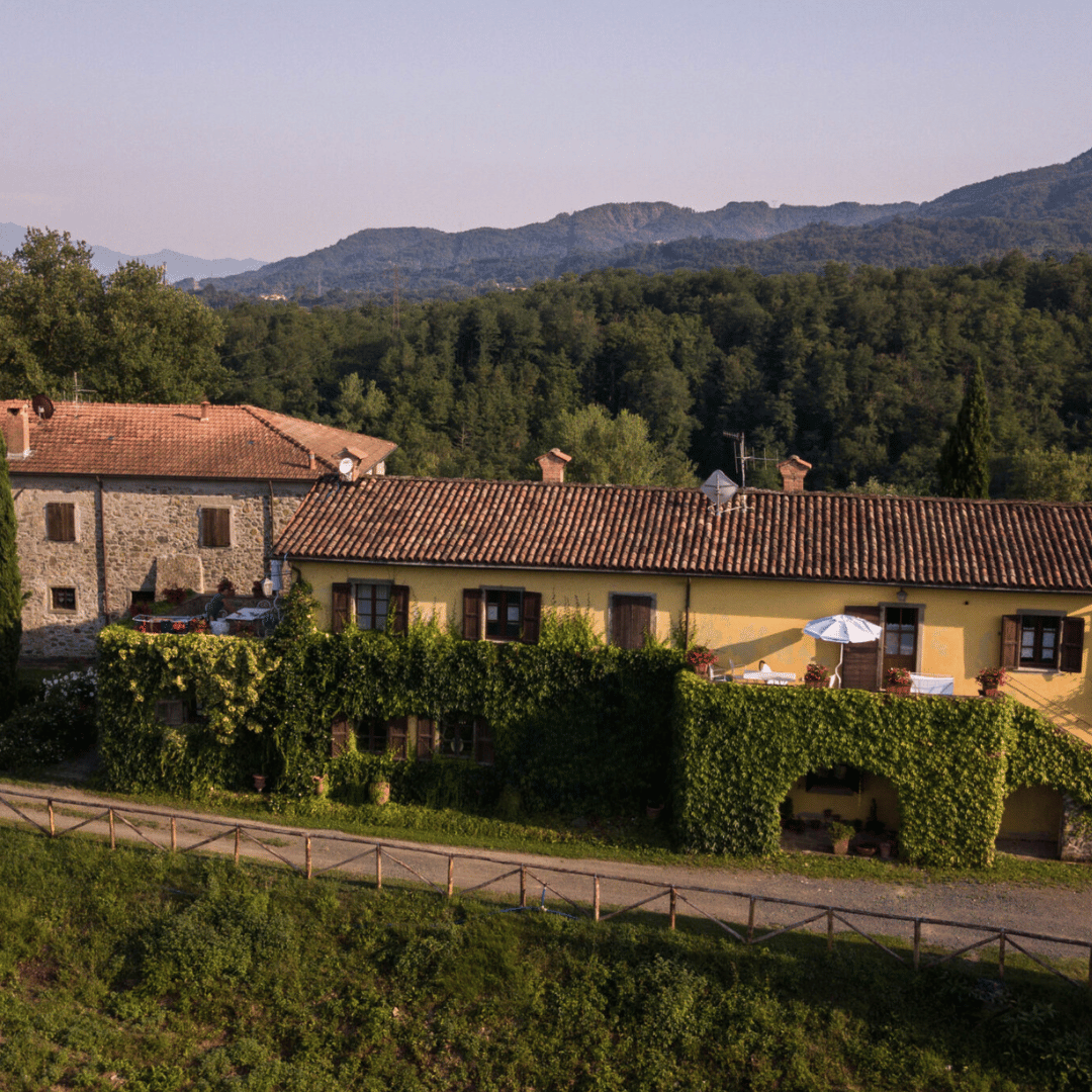 Boutique Winery Tour &amp; Tasting in North Tuscany - Wine Tasting - Touraround
