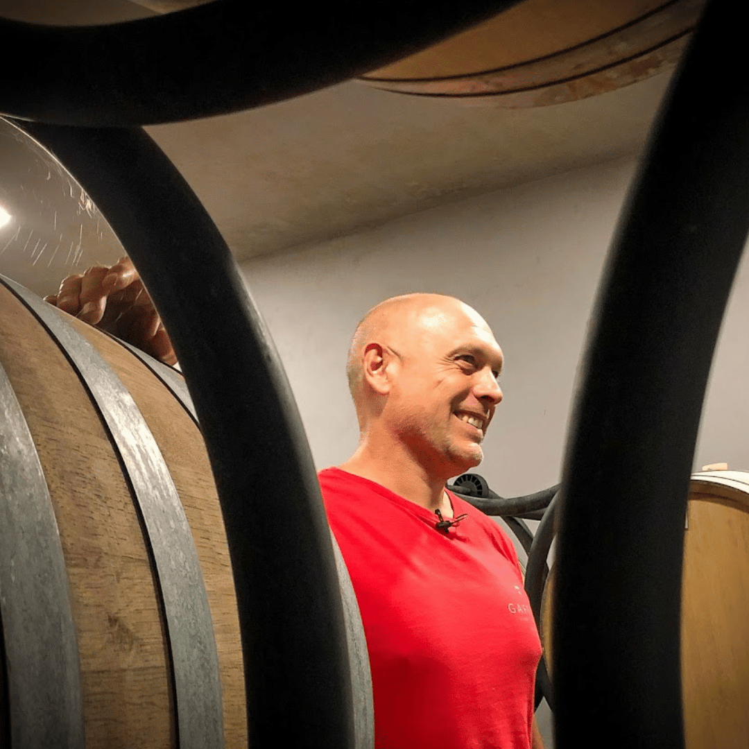 Boutique Winery Visit &amp; Tasting near Rome - Wine Tasting - Touraround
