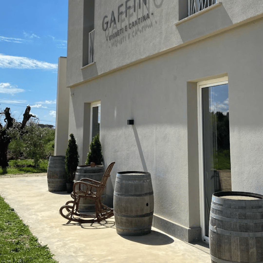 Boutique Winery Visit &amp; Tasting near Rome - Wine Tasting - Touraround