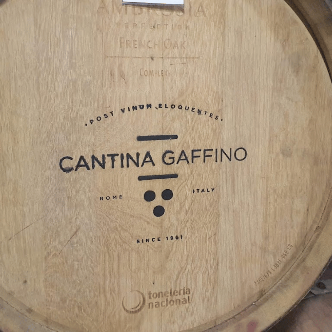 Boutique Winery Visit &amp; Tasting near Rome - Wine Tasting - Touraround