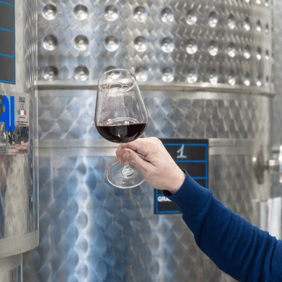 Boutique Winery Visit &amp; Tasting near Rome - Wine Tasting - Touraround
