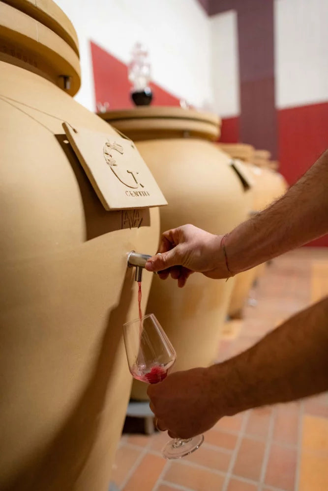 Taste 3 Wines with cellar tour in a Historic Countryside Winery - Touraround