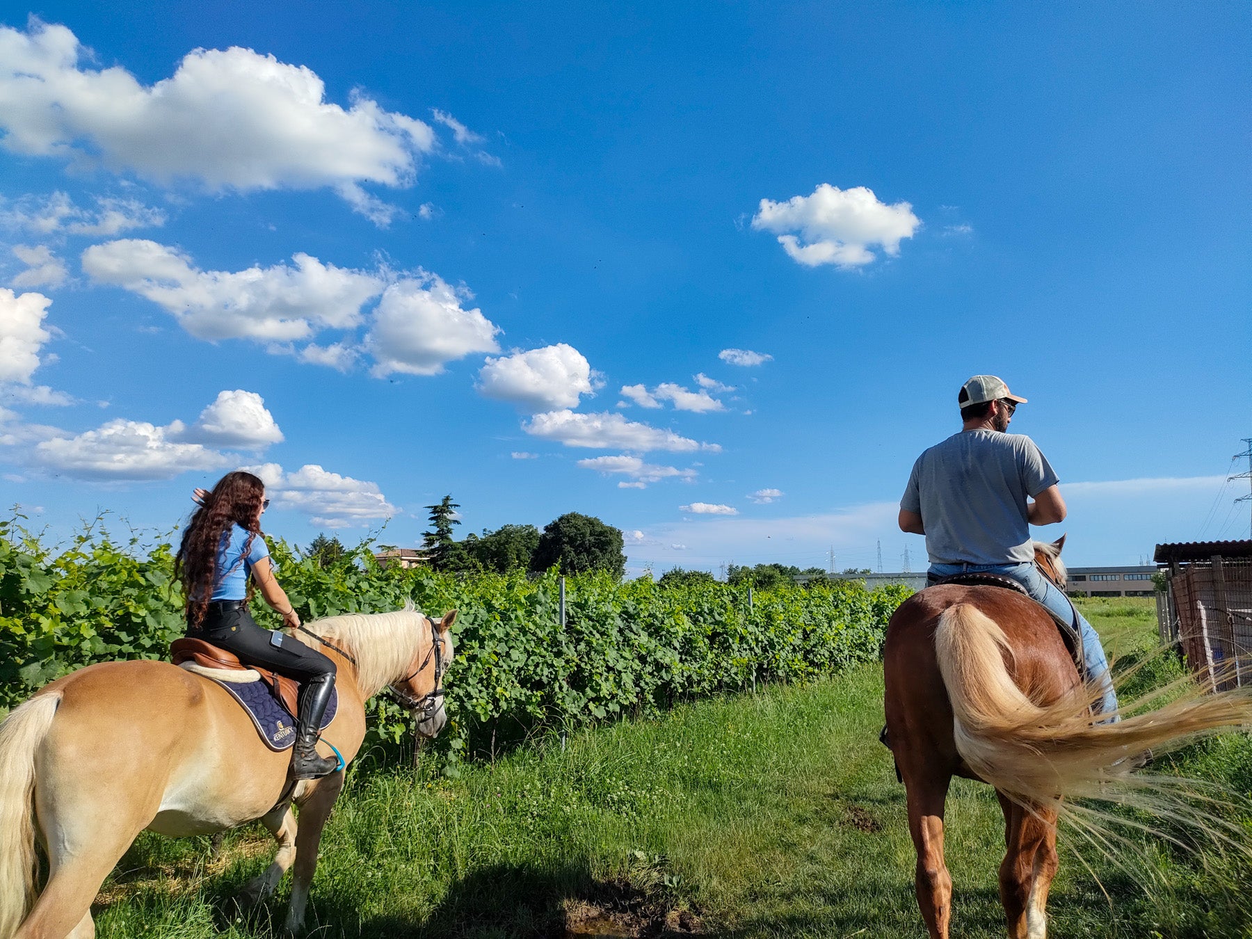 2 hours Horseback Ride in Lake Garda countryside