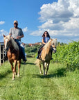 2 hours Horseback Ride in Lake Garda countryside
