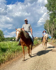 2 hours Horseback Ride in Lake Garda countryside
