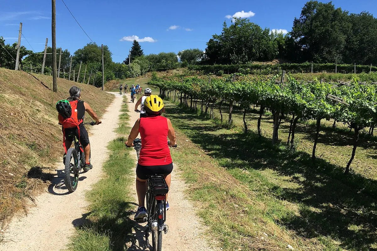 E - Bike tour and wine tasting in Lazise - Bike Tour - Touraround