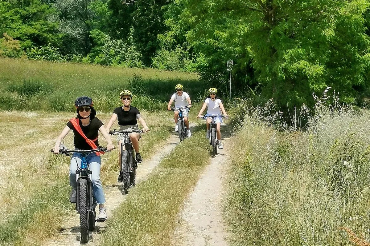 E - Bike tour from Desenzano with Wine Tasting - Bike Tour - Touraround