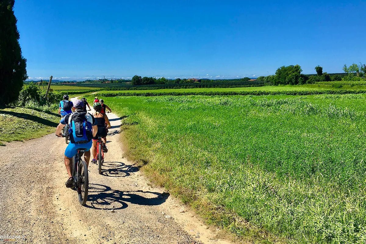 E - Bike tour with wine tasting from Polpenazze - Bike Tour - Touraround