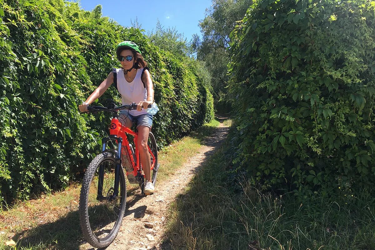 E - Bike tour with wine tasting from Polpenazze - Bike Tour - Touraround