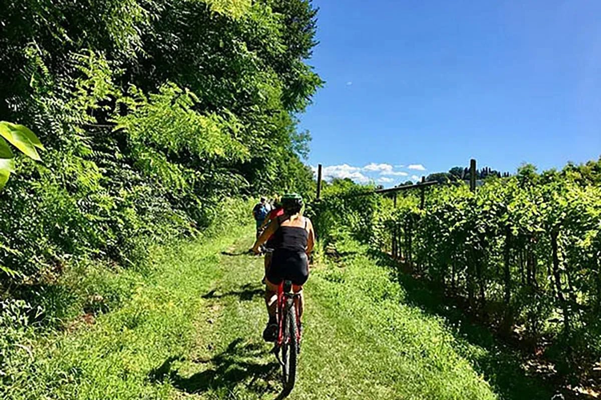 E - Bike Tour with wine tasting from Valeggio - Bike Tour - Touraround