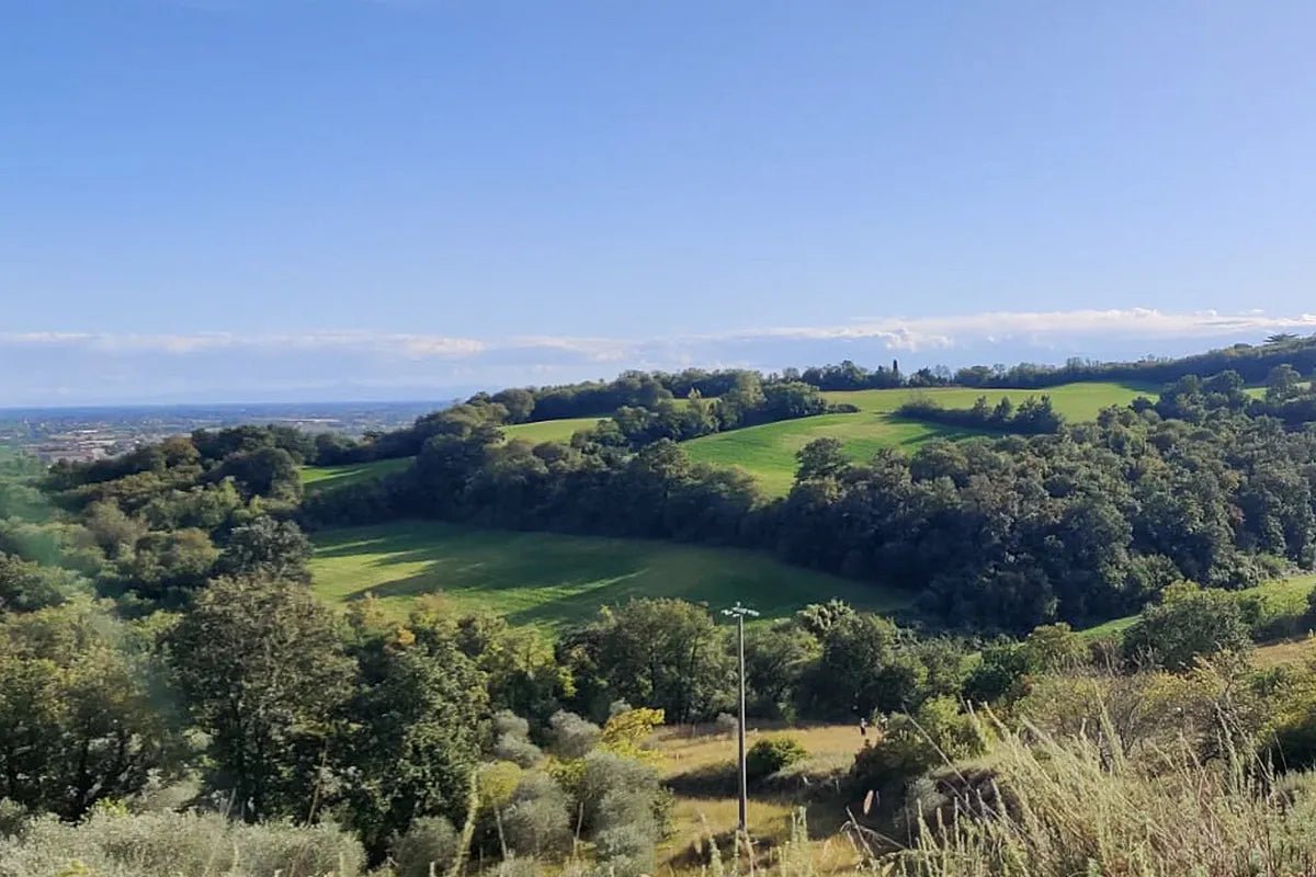 E - Bike Tour with wine tasting from Valeggio - Bike Tour - Touraround