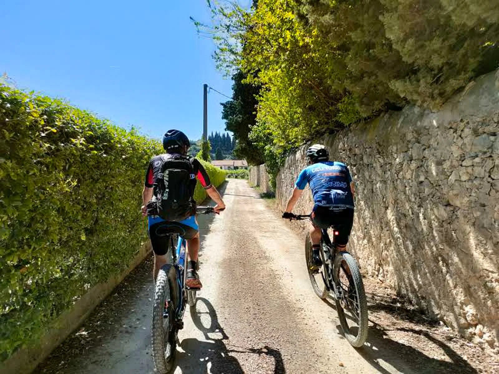 E - Bike tour with wine tasting on Valpolicella Hills - Bike Tour - Touraround
