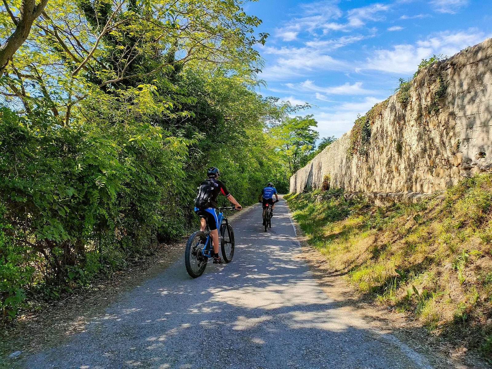E - Bike tour with wine tasting on Valpolicella Hills - Bike Tour - Touraround
