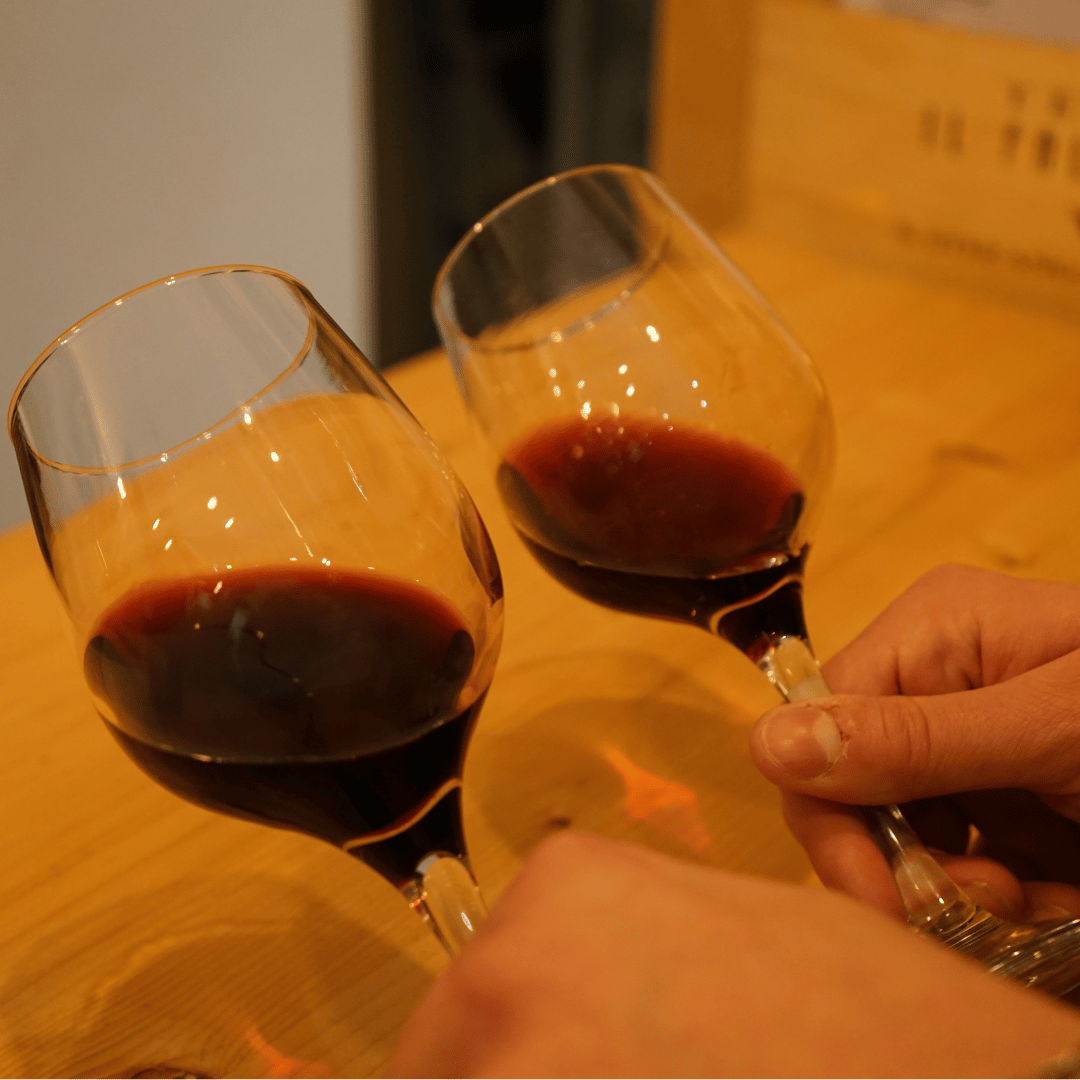 Easy Wine Tasting in Turin City Center - Wine Tasting - Touraround
