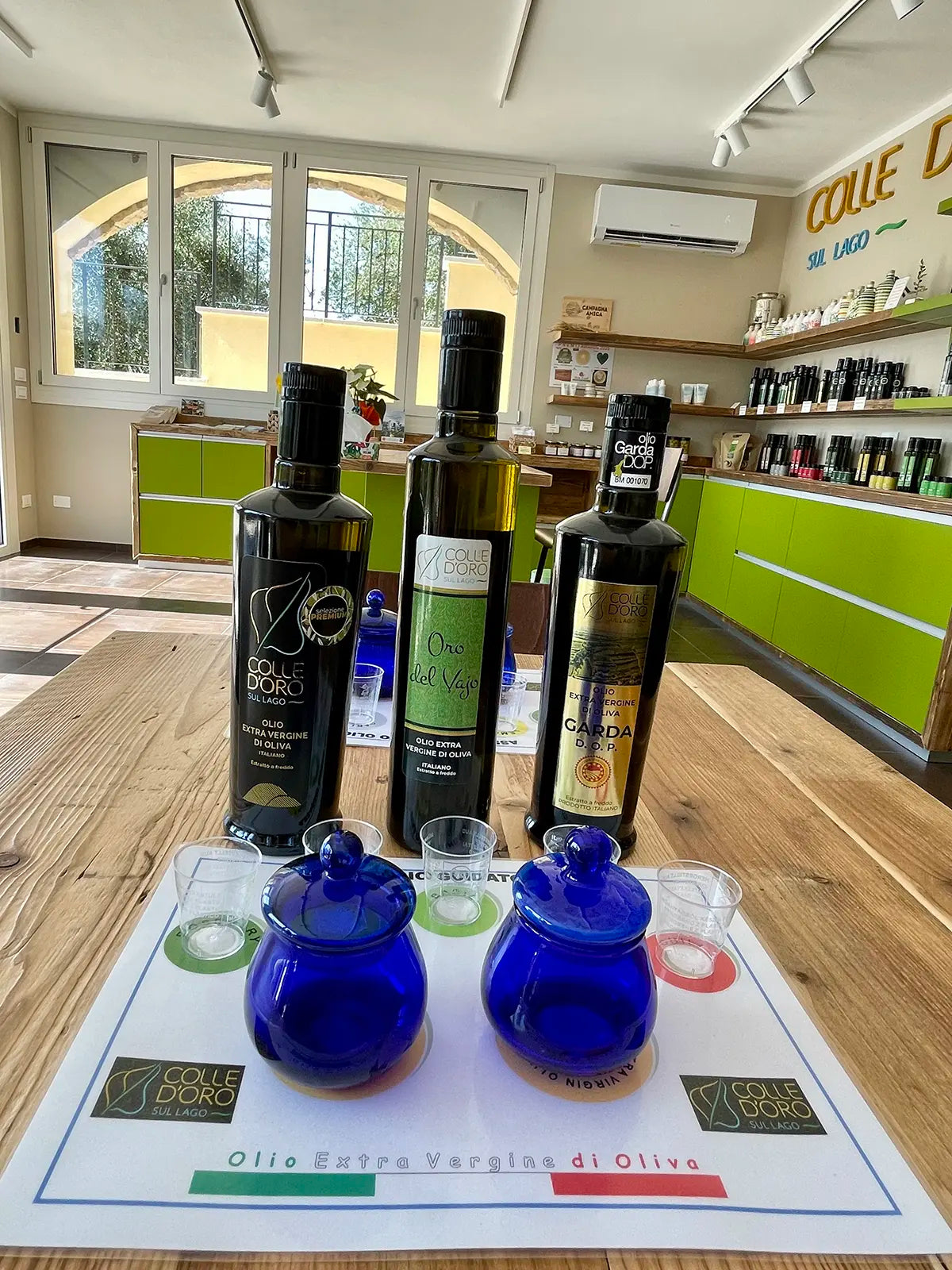 Lake Garda Olive Oil Tour & Tasting with Panoramic Views - Touraround