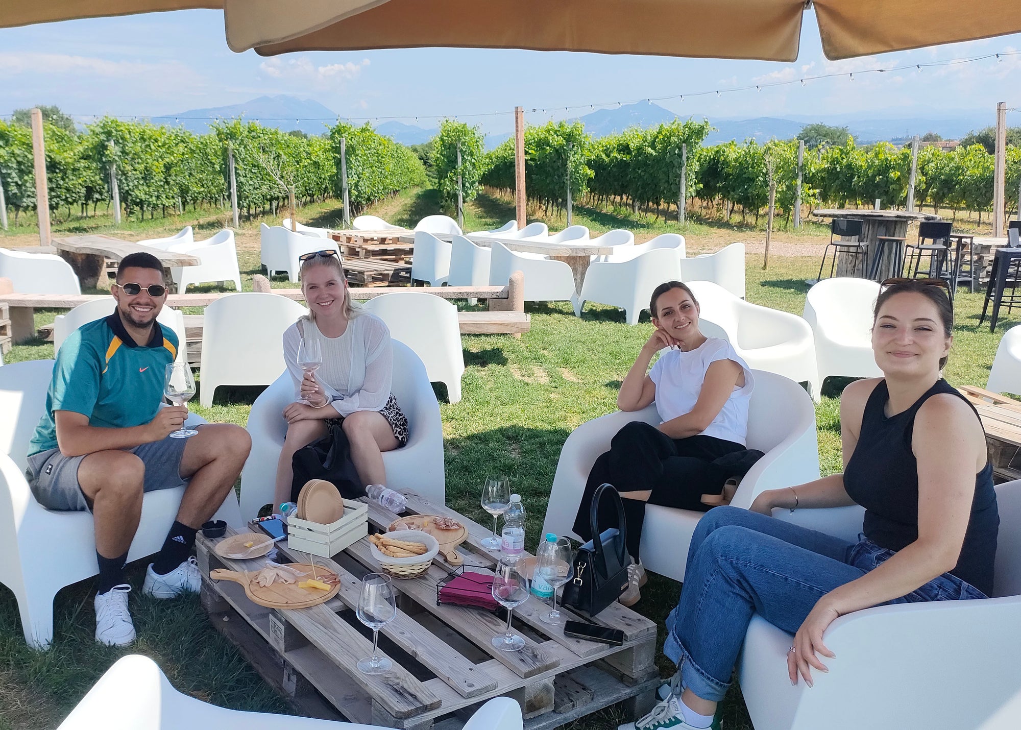 Countryside Wine Experience with Local Food and Vineyard Views - Touraround
