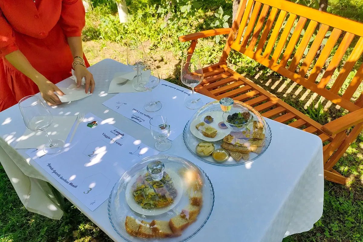 Horse Carriage Tour and tasting of local food in Lazise - Horse Tour - Touraround
