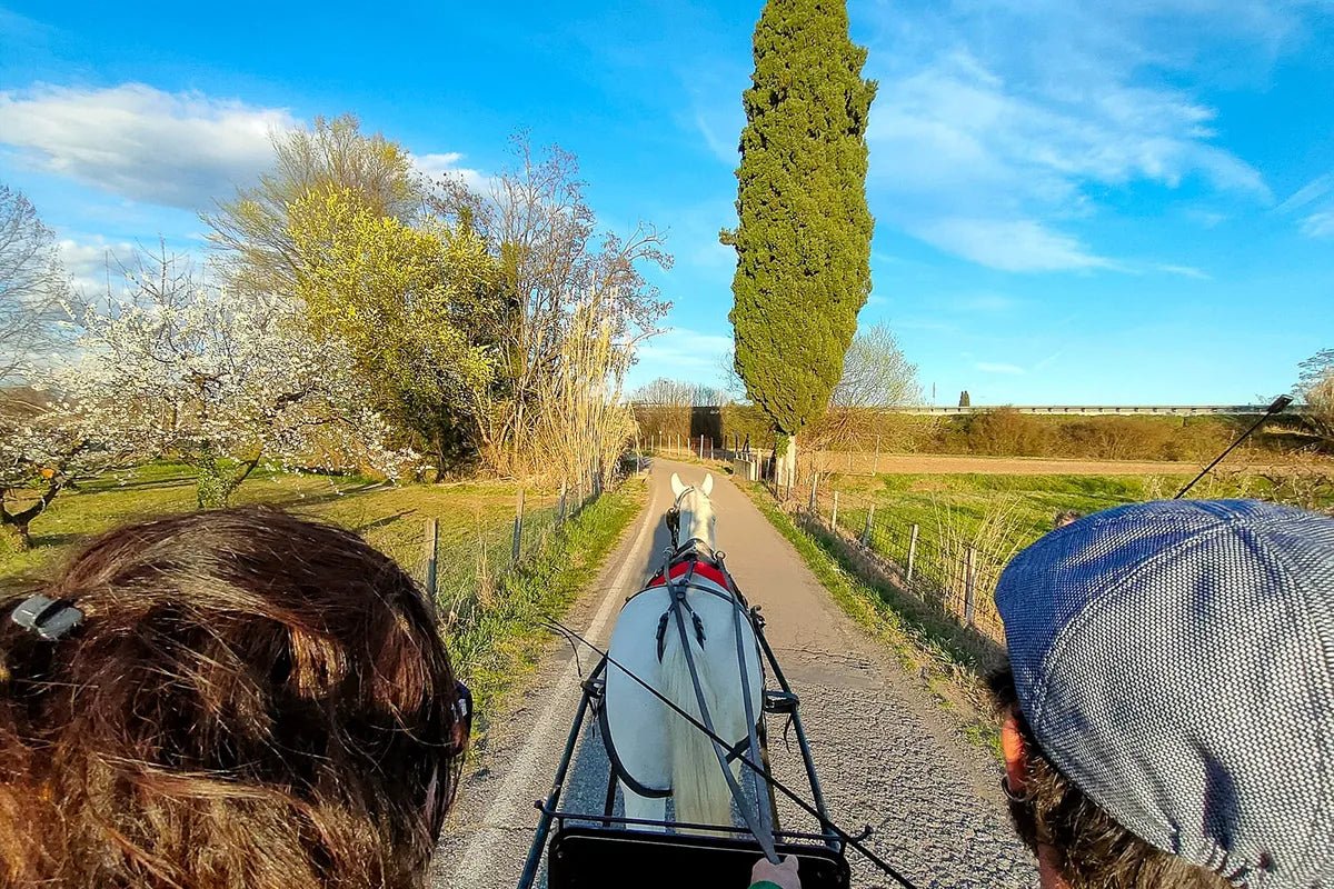 Horse Carriage Tour and tasting of local food in Lazise - Horse Tour - Touraround