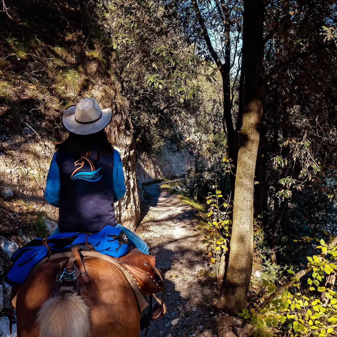 Panoramic 2-Hour Horseback Ride on Monte Gaggio (intermediate) - Touraround
