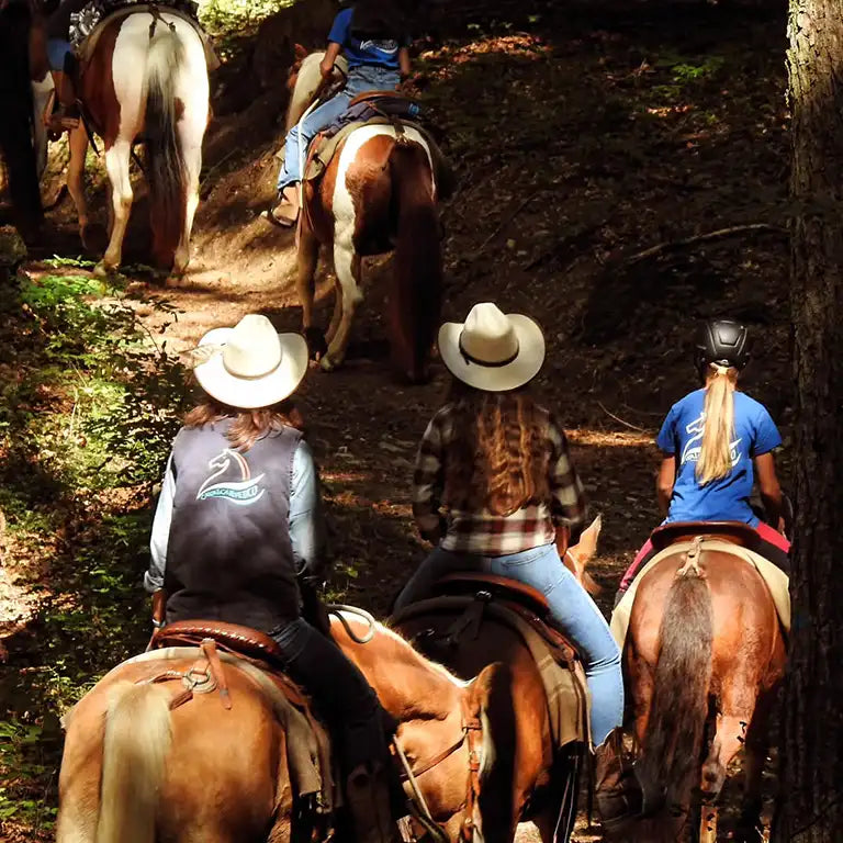 Panoramic 2-Hour Horseback Ride on Monte Gaggio (intermediate) - Touraround