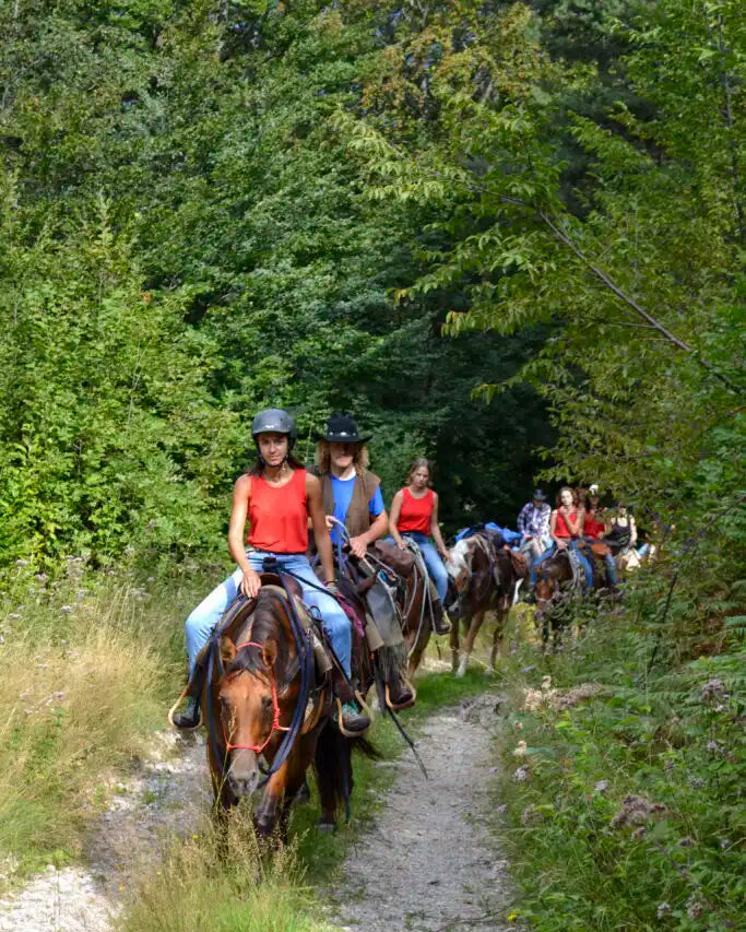 Panoramic 2-Hour Horseback Ride on Monte Gaggio (intermediate) - Touraround